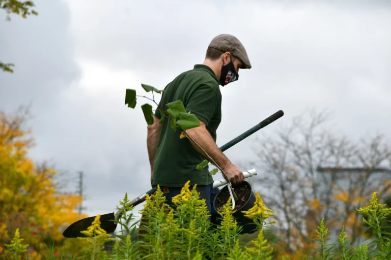 Landscaper carrying a young plant and a shovel to a new bed